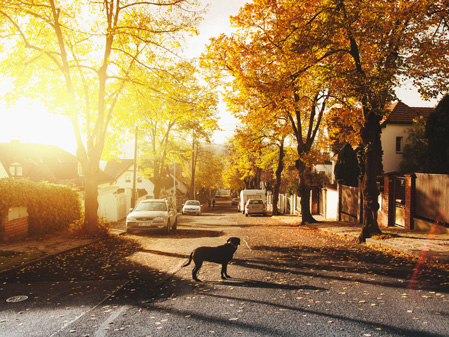 ��������ҵ��:����С��Ӧ�ع��Ļ�������ɫ